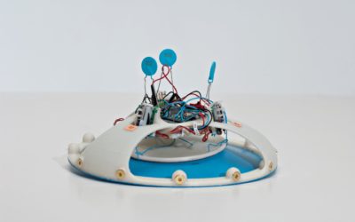 Teleonomies