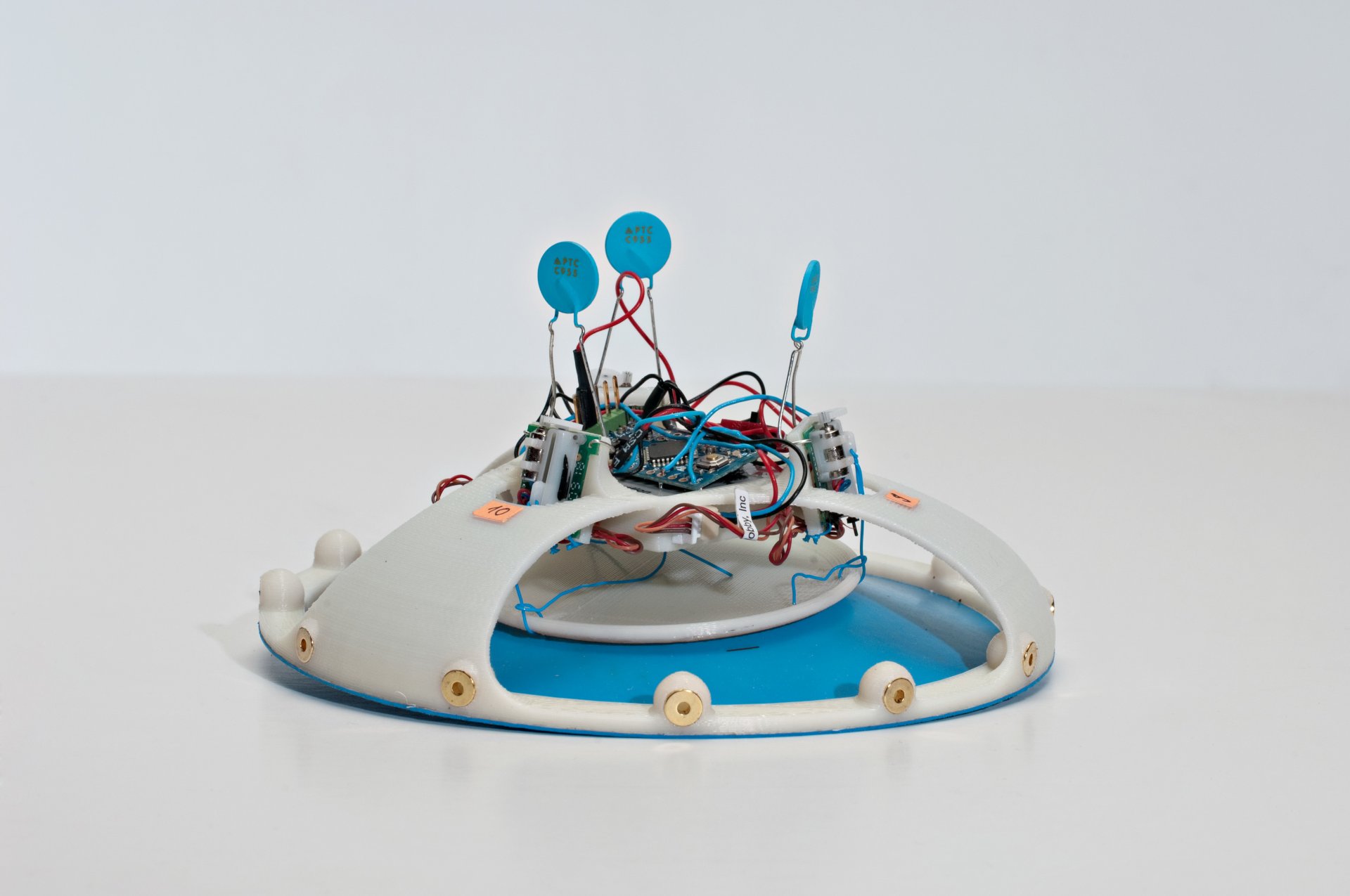 Teleonomies
